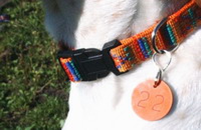 Marke orange/schwarz ES