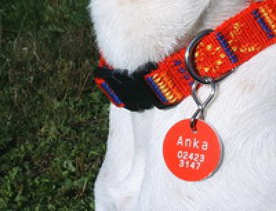 Marke rot/weiss ES